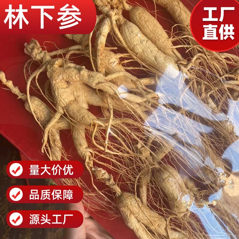 Wild-Simulated Ginseng Slightly Imperfect Roots 200g Dried for Cooking and Decoction - Image 3