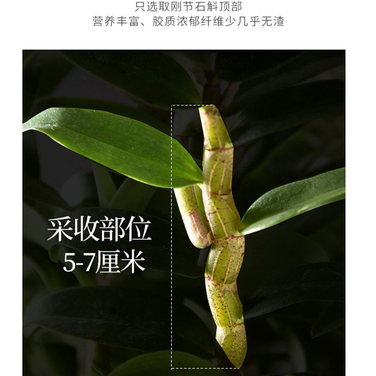 Huo Shan Shi Hu Feng Dou Dendrobium Stems 100g Gift Box Dried Tie Pi Shi Hu for Tea and Soup - Image 2