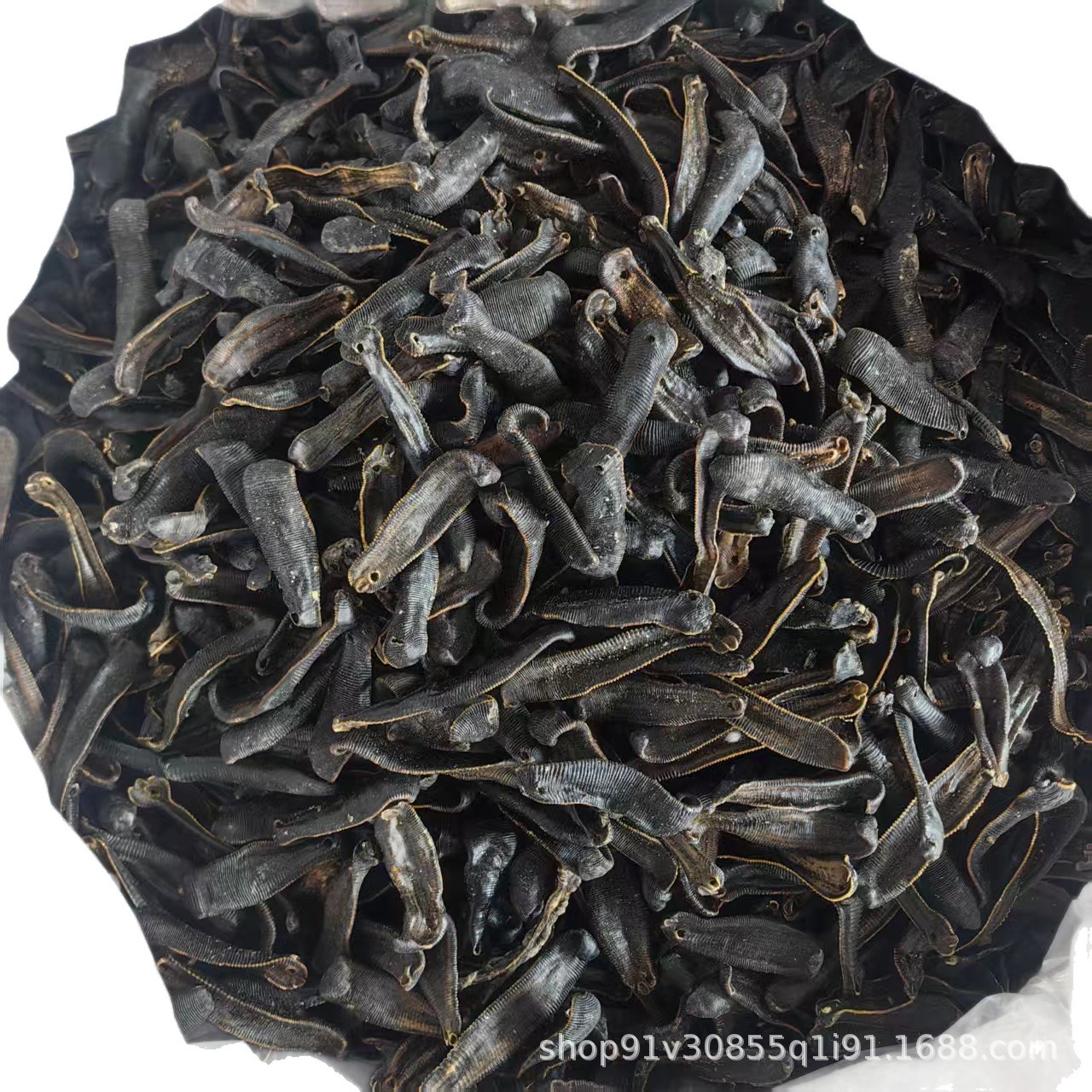 Dried Leech Shui Zhi 水蛭 Hirudo Slices 500g Traditional Chinese Herb Can Be Ground to Powder - Image 5