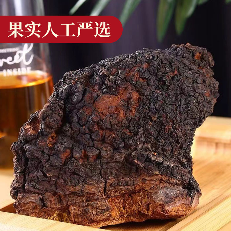 Chaga Mushroom Granules Hua Shu Rong 250g Dried Birch Conk Chunks for Herbal Tea and Decoction - Image 3