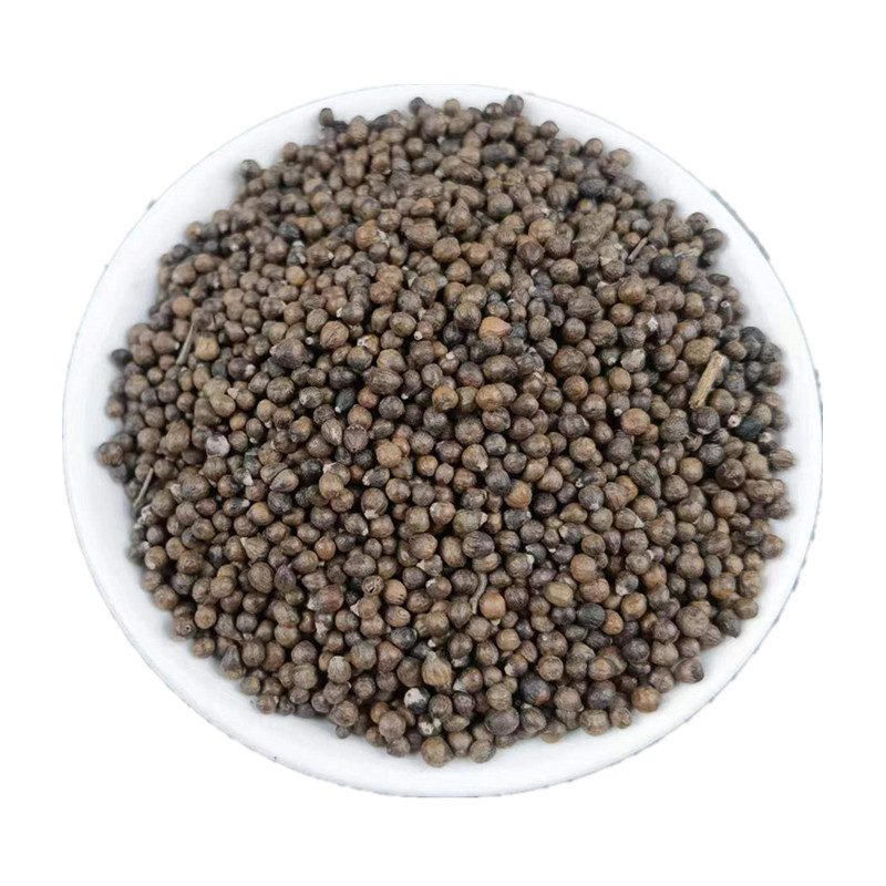Huang Jing Zi Vitex Fruit 黄荆子 Dried Vitex Negundo Seeds Traditional Chinese Herb 500g - Image 5