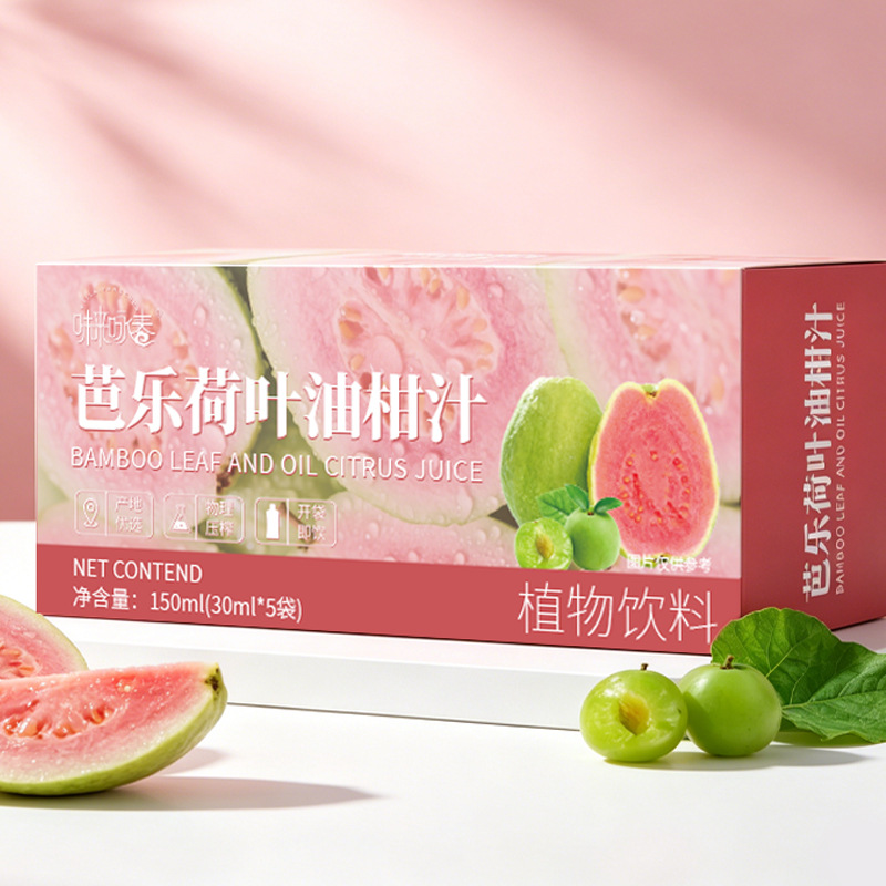 Red Heart Guava Lotus Leaf Amla Concentrated Juice 70ml Fresh-Pressed Herbal Fruit Drink 30ml x 7 Sticks - Image 2