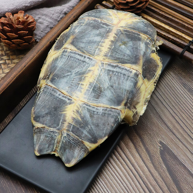 Raw Tortoise Plastron Gui Ban 500g Dried Turtle Shell Traditional Chinese Herbal Material - Image 3