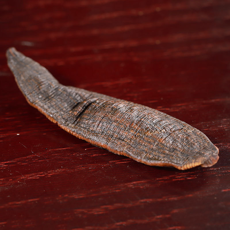 Shui Zhi Dried Leech (Hirudo medicinalis) — Sun-Dried Clean-Water Leech for TCM Decoction - Image 3