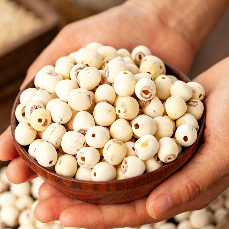 Lotus Seed (Nelumbo nucifera) — Hunan White Lotus Seeds, Core-Removed, Sulfur-Free, 500g - Image 4
