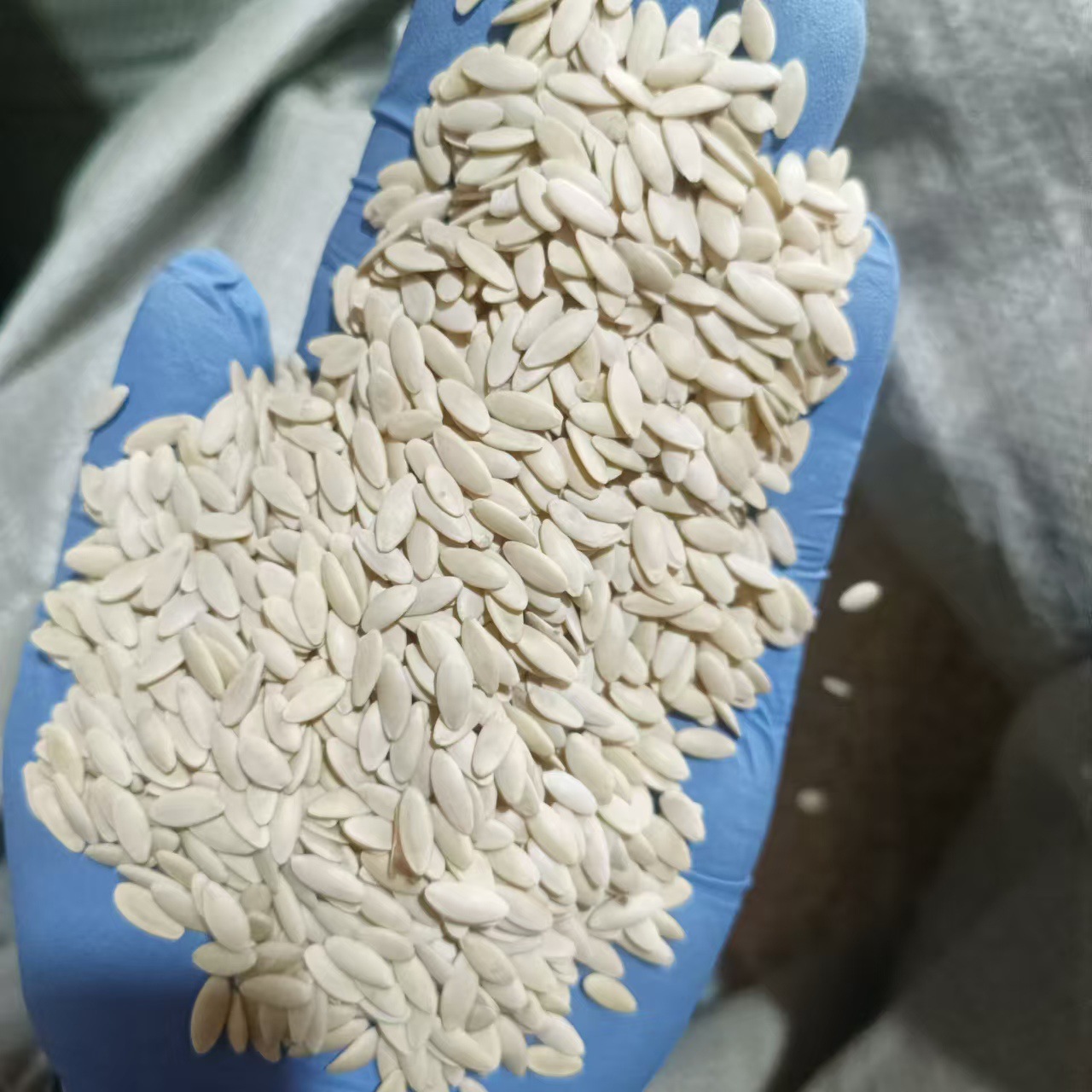 Dried Cucumber Seeds Huang Gua Zi 500g Northeast China Raw Herbal Botanical - Image 3