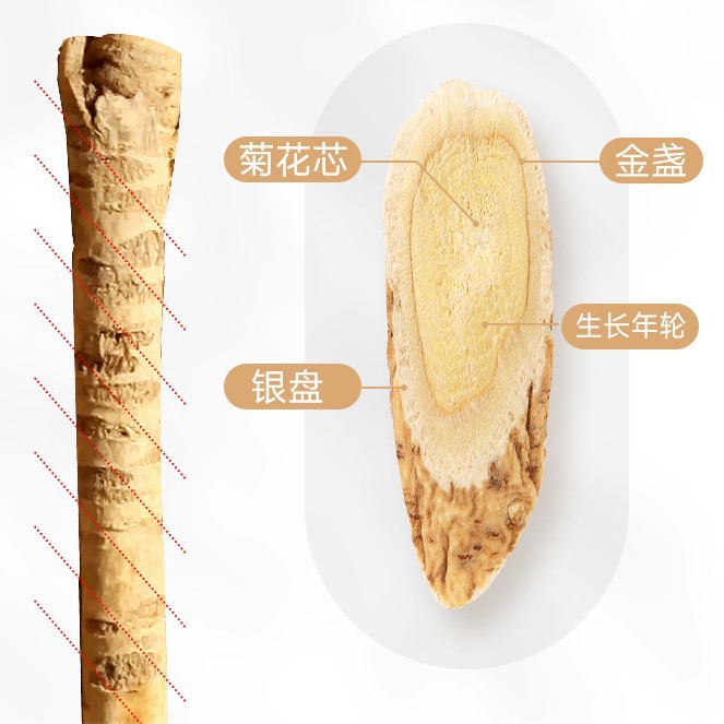 Dried Astragalus Root Slices Huang Qi 100g Bottle for Herbal Tea and Soup - Image 2