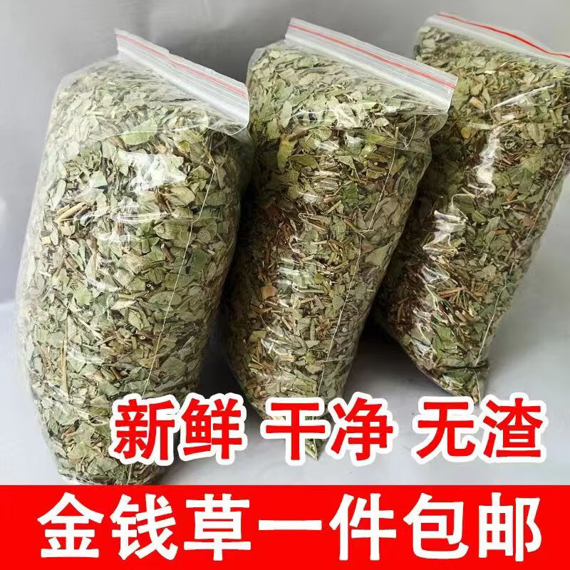 Dried Guang Jin Qian Cao Lysimachia Herb 500g Natural Sun Dried Sulfur Free for Herbal Water Infusion - Image 2