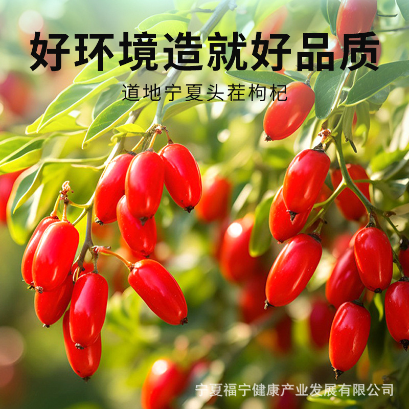 Premium Ningxia Goji Berries Gou Qi Zi Dried Red Wolfberry Fruit for Tea and Soup 240g Gift Box - Image 2