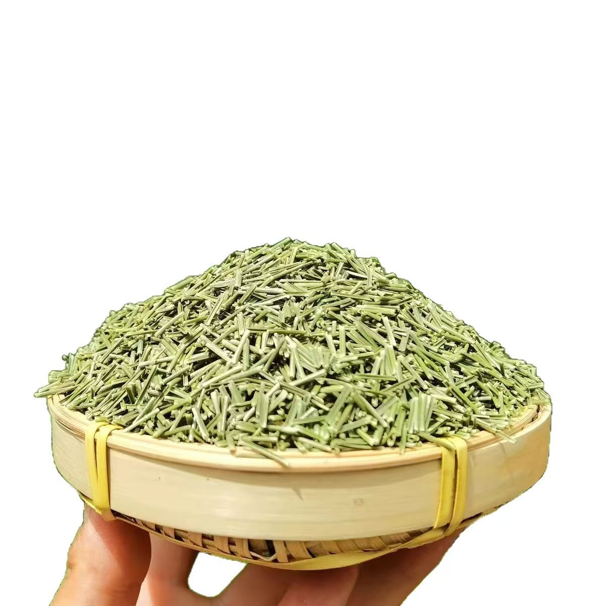 Pine Needle Tea (Pinus massoniana) — Dried Green Pine Needles, 500g Bag - Image 5