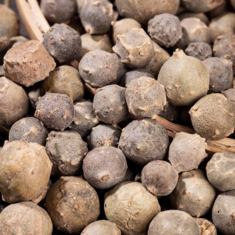 Mo Shi Zi (Quercus infectoria Oak Gall) — Dried TCM Astringent Herb, 500g - Image 3