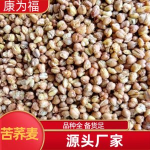 Ku Qiao Mai (Fagopyrum tataricum) — Dried Tartary Buckwheat Grain, Food Herb for Tea & Porridge