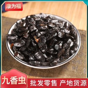 Jiu Xiang Chong (Aspongopus chinensis) — Dried TCM Herb, 500g Powder