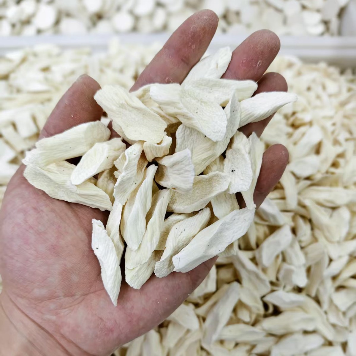 Dried Chinese Yam Slices Huai Shan Yao 500g Wenxian Iron Stick Yam Horseshoe Cut Natural Herbal Food - Image 4