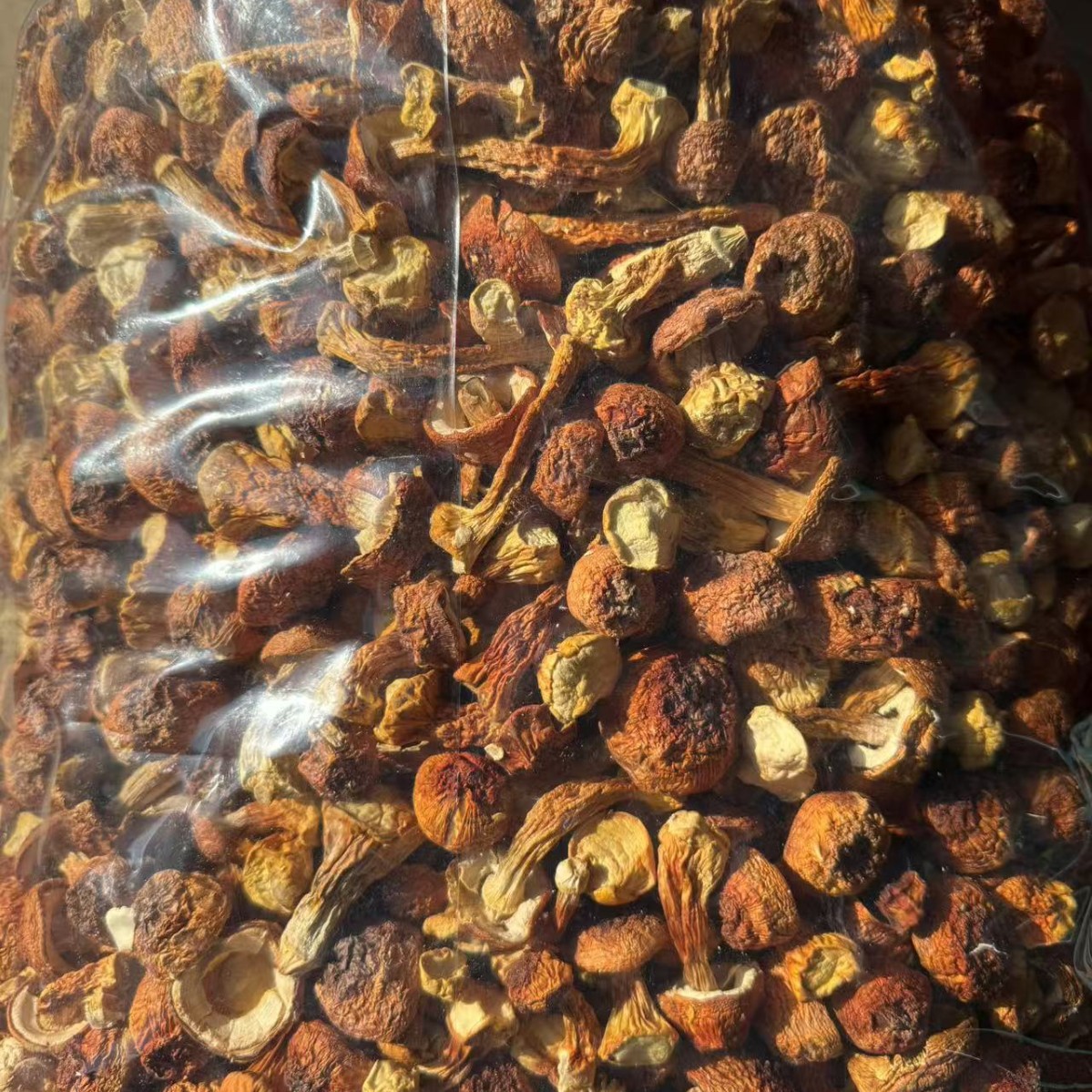 Dried Agaricus blazei Mushroom Slices Ji Song Rong 500g Edible Dried Mushroom for Soup and Tea - Image 3