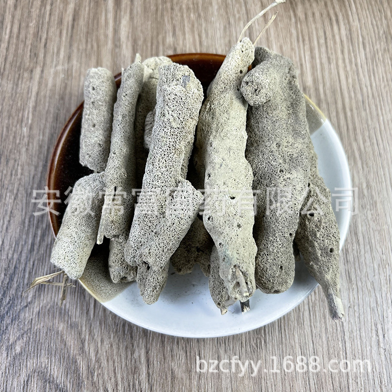 Zi Xiao Hua Dried Freshwater Sponge Herb Traditional TCM Botanical Material - Image 2