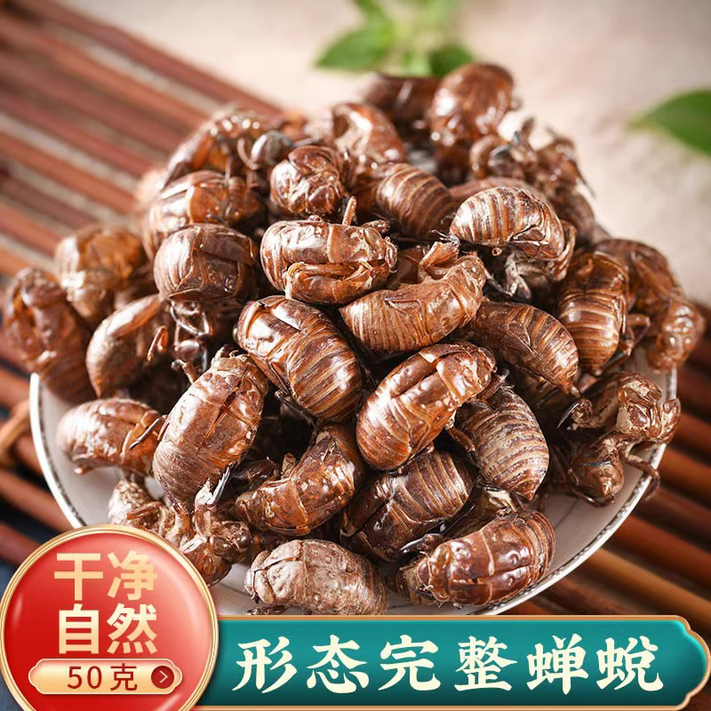 Cicada Slough Chan Tui Whole Dried Cicada Molt Traditional TCM Herb Water Washed 500g - Image 2