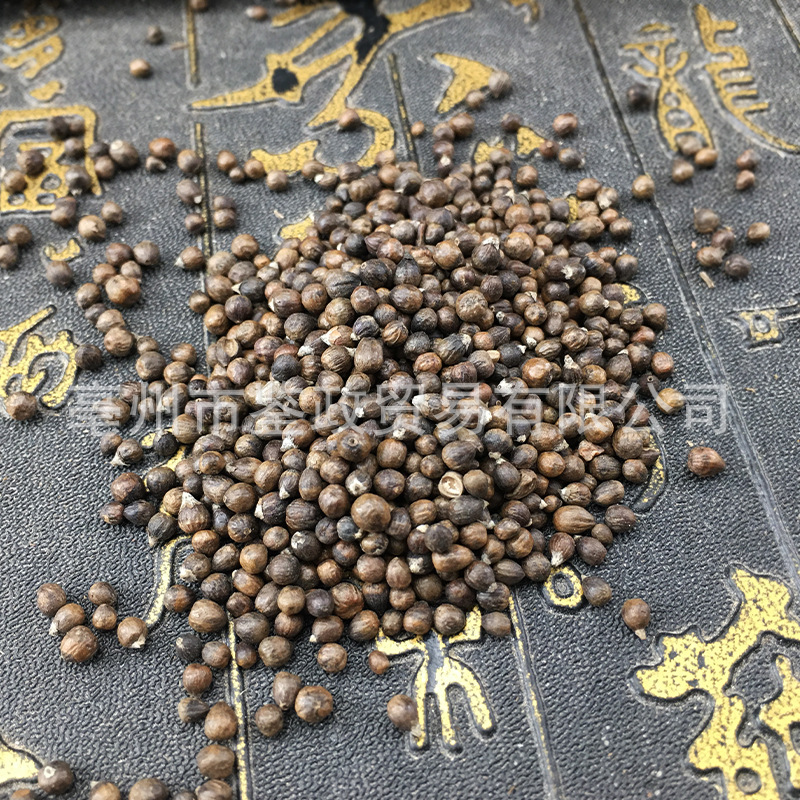 Huang Jing Zi Vitex Negundo Seeds Dried Chinese Vitex Fruit Bulk Herbal Filling Material 500g - Image 4