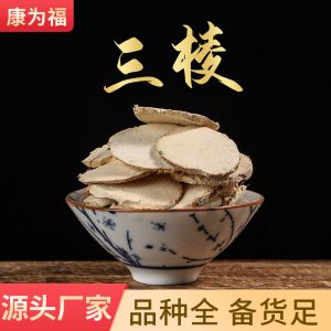 San Leng (Sparganium stoloniferum) — Dried Rhizome & Vinegar-Processed Powder, 500g