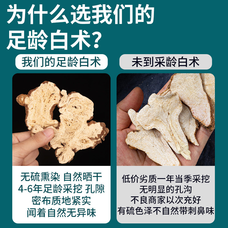 Wild Bai Zhu Dried Atractylodes Root Slices 500g Zhe White Atractylodes for Decoction and Soup - Image 2