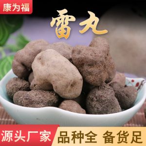 Lei Wan Slices (Omphalia lapidescens) — Dried TCM Herb, Also Called Zhu Ling Zhi