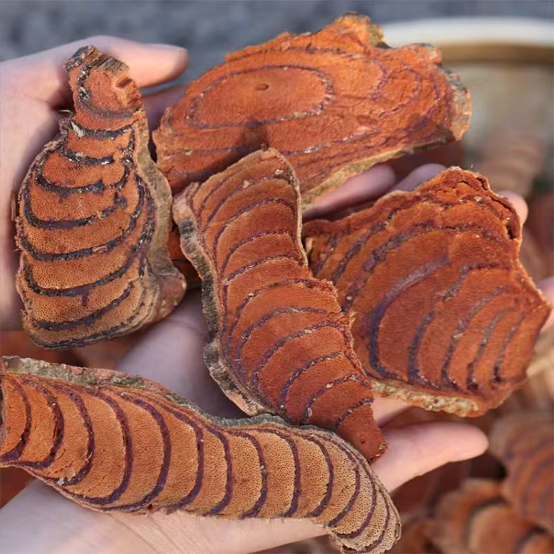 Ji Xue Teng Dried Spatholobus Suberectus Vine Slices Chinese Herb for Decoction Soup and Wine Soaking - Image 2