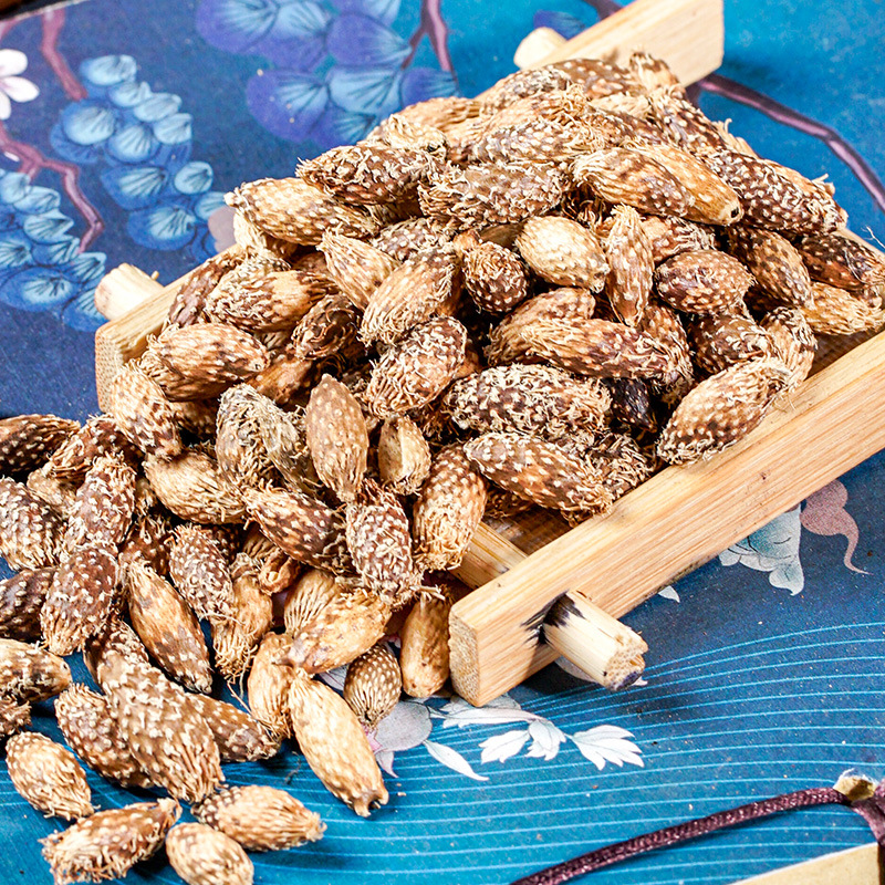 Cang Er Zi (Xanthium sibiricum) — Stir-Fried De-Spined Cocklebur Fruit, Dried Herb 500g - Image 3