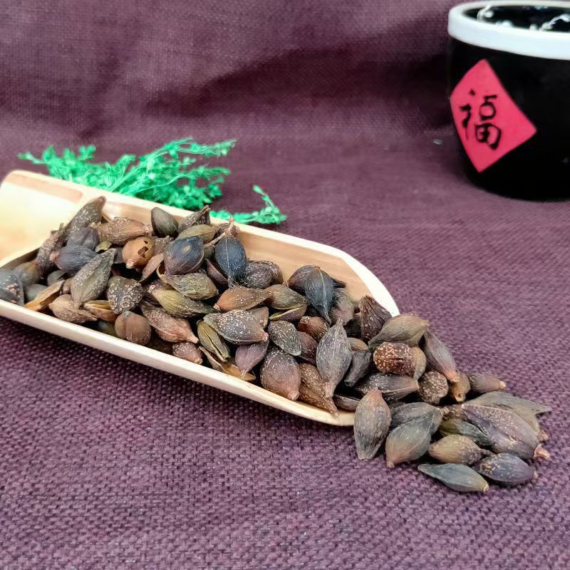 Forsythia Fruit Lian Qiao 连翘 Green Qing Qiao Dried Herb 500g for Decoction and Culinary Use - Image 3