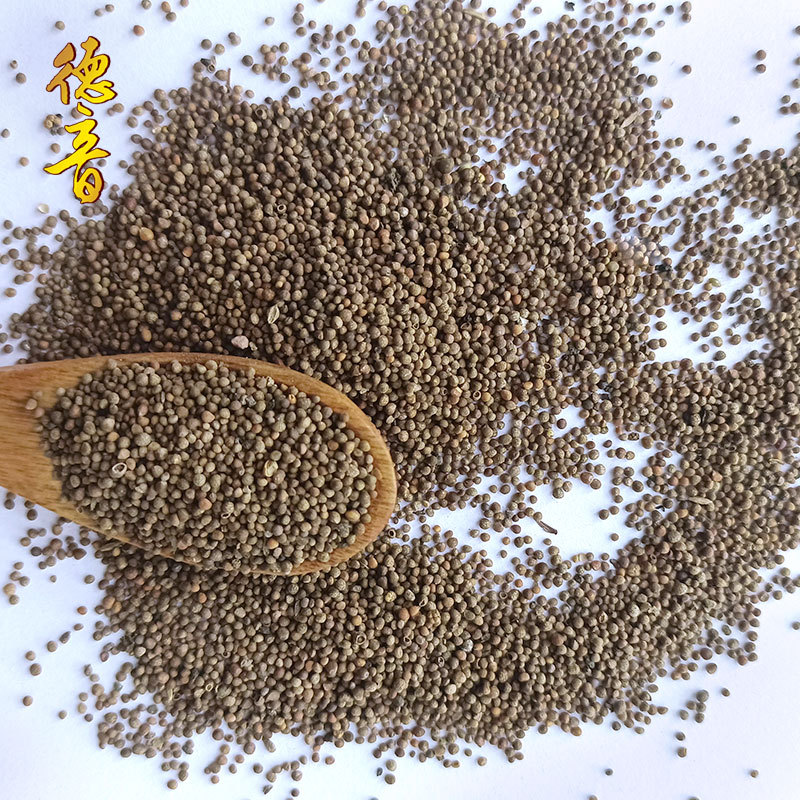 Perilla Seed Zi Su Zi 500g Dried Fructus Perillae Culinary Herb from Hebei - Image 3