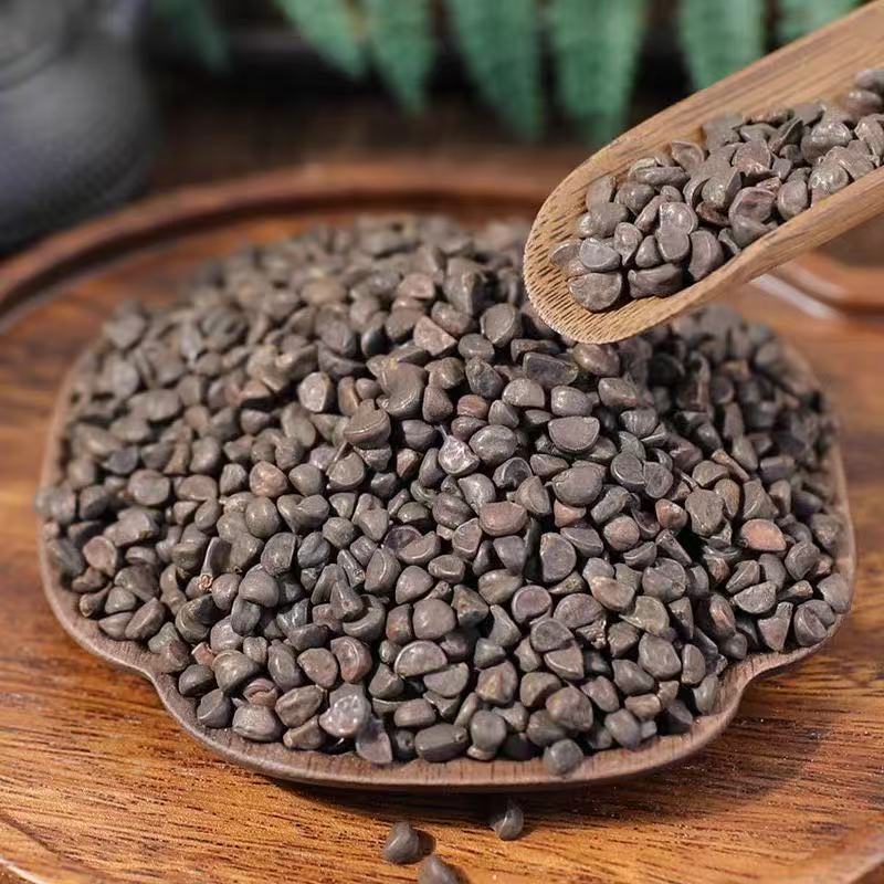 Black Morning Glory Seed Powder Hei Chou Qian Niu Zi Fine Ground Herbal Powder 500g - Image 2