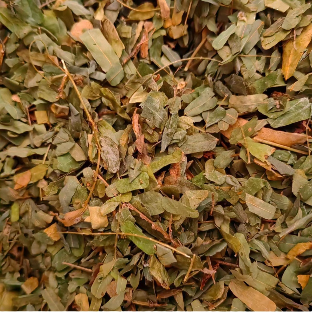 Ji Gu Cao (Abrus cantoniensis) — Dried Food Herb Vine for Herbal Tea & Soup - Image 5
