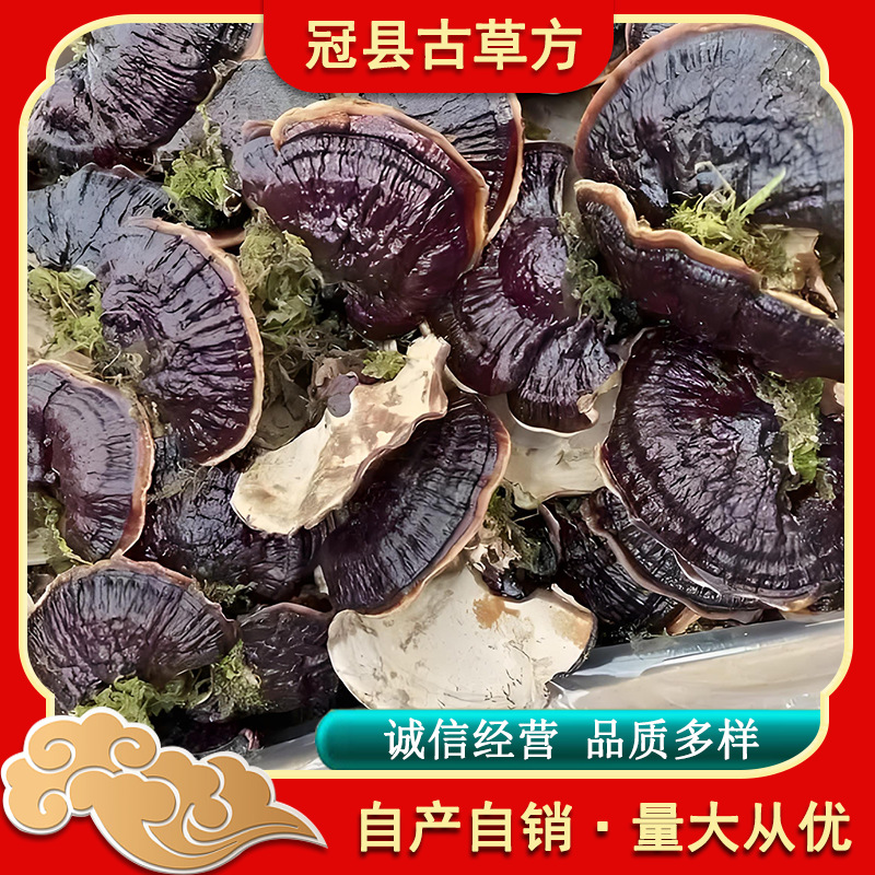 Jinbian Lingzhi Reishi Mushroom Dried Whole Fruiting Body for Tea Soup and Wine Soaking - Image 2