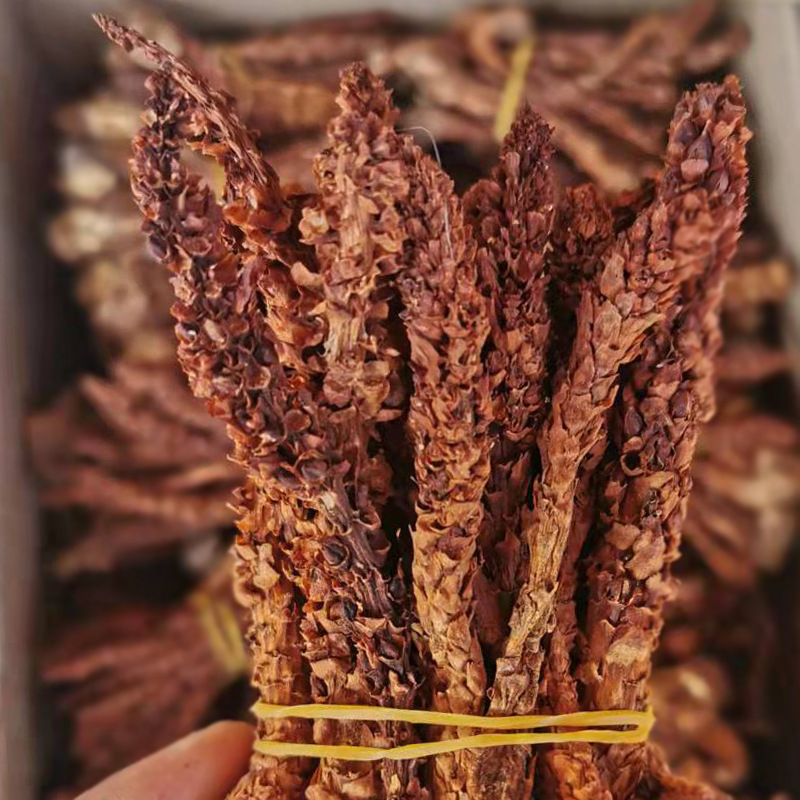 Bu Lao Cao Dried Herb 500g Boschniakia Rossica Whole Root for Herbal Wine and Decoction - Image 3