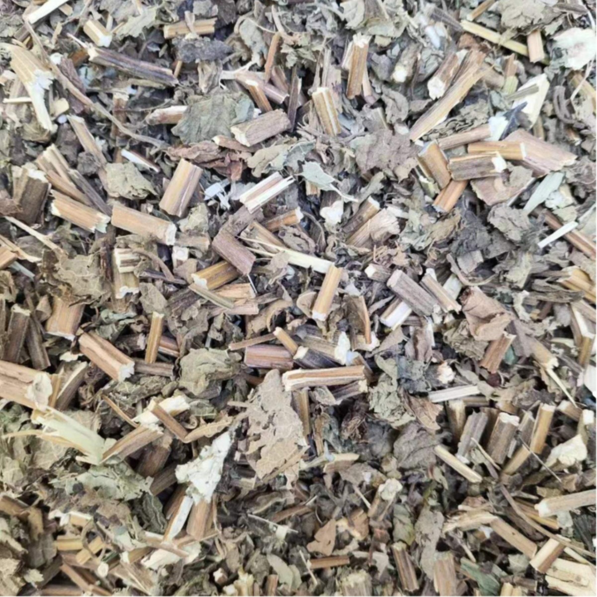 Xi Huang Cao (Rabdosia serra) — Dried Chinese Herbal Decoction Pieces, 500g - Image 5