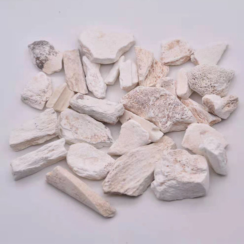 Dried Dragon Bone Long Gu 土龙骨 Traditional TCM Mineral Herb 500g Bag - Image 2