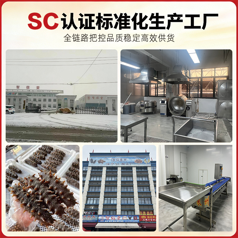 Ready to Eat Sea Cucumber Dalian Liaoning Frozen 500g Gift Box - Image 2