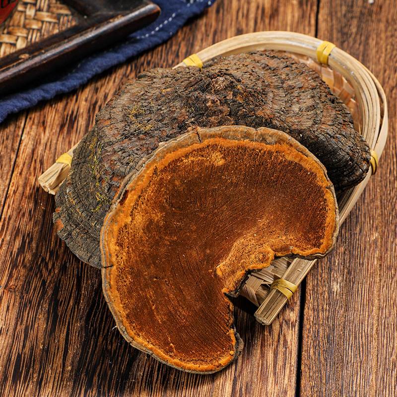 Sang Huang (Sanghuangporus sanghuang) — Wild-Grown Tibetan Medicinal Mushroom, Sulfur-Free, Custom Milling - Image 3