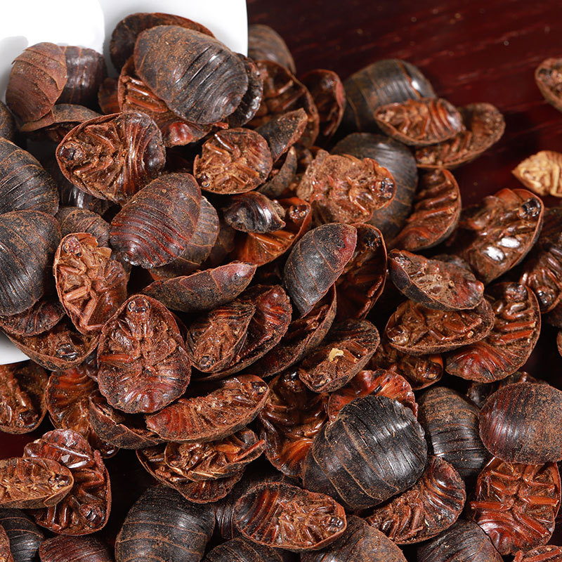Tu Yuan (Eupolyphaga sinensis) — Dried Ground Beetle Herb, Food-Grade, Powder Available - Image 2