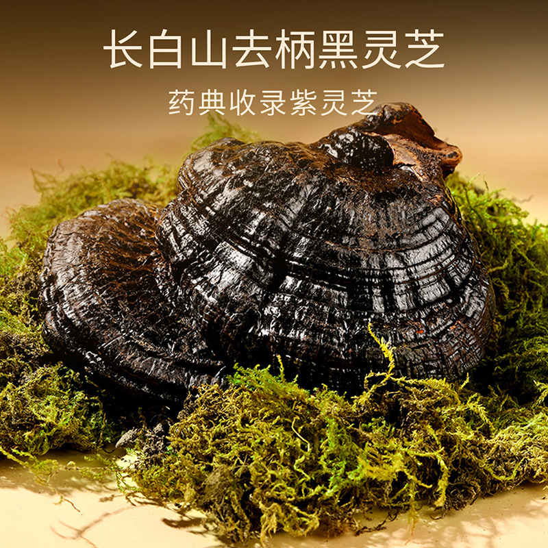 Five Herb Gift Box American Ginseng Dendrobium Reishi Black Goji Berry 230g Nourishing Gift Set - Image 3