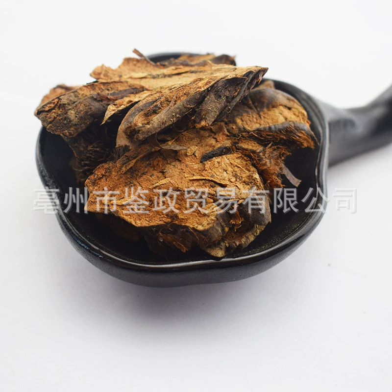 Guan Zhong Dried Cyrtomium Rhizome 500g Bulk TCM Herbal Material - Image 2