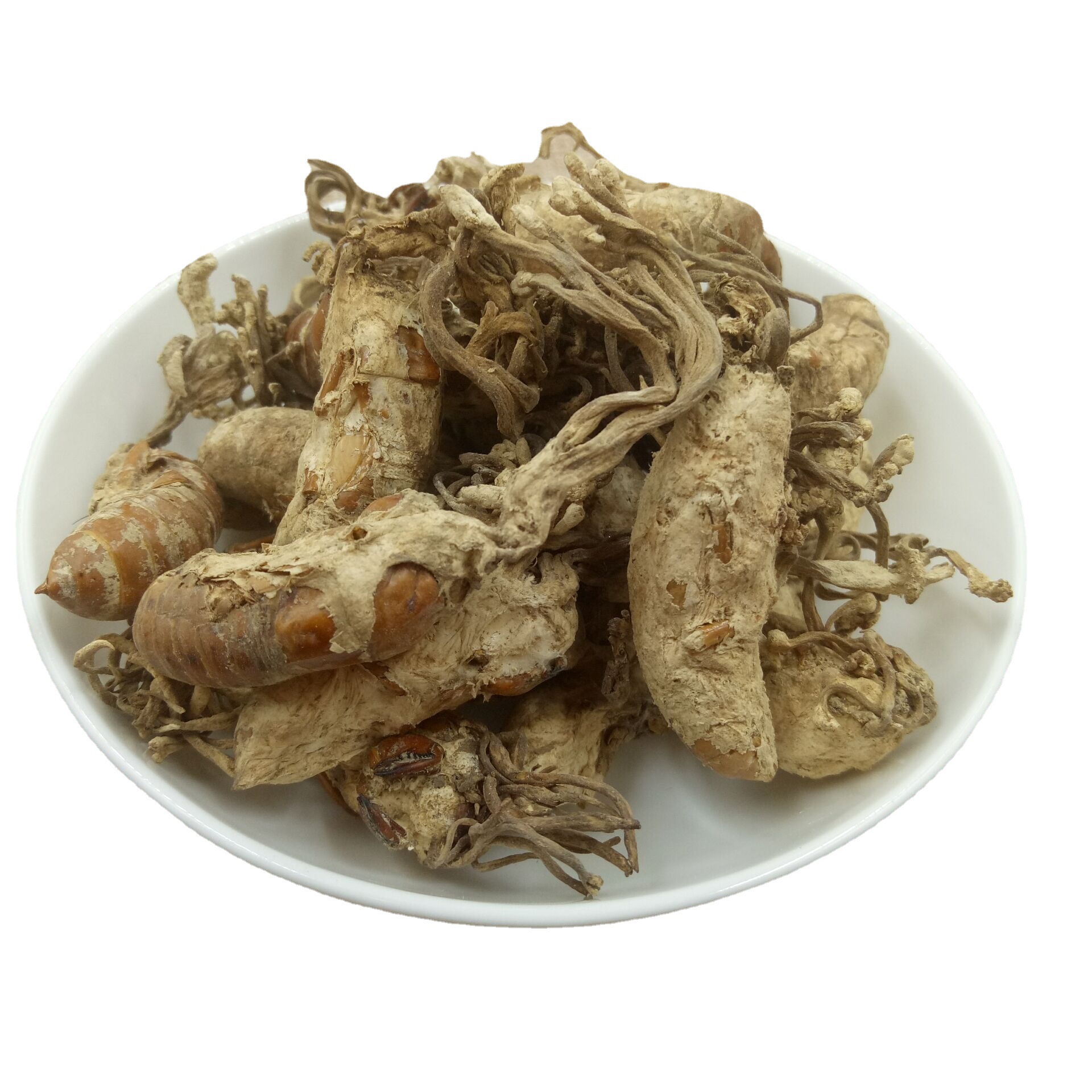 Golden Cicada Flower Jin Chan Hua Dried Cordyceps Fungus on Cicada Pupae Traditional Herbal Ingredient 500g - Image 5