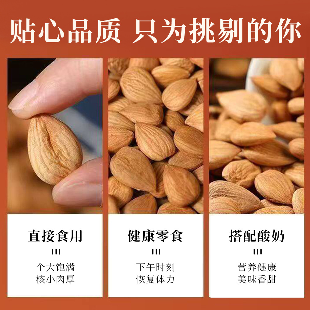 Premium Chinese Almond Kernels Xing Ren Prunus armeniaca Dried Seeds for Herbal Tea and Culinary Use 100g - Image 4
