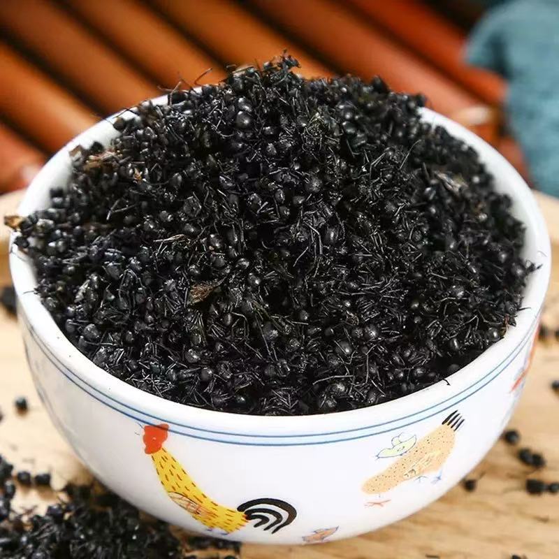 Black Ant Dried Whole (Polyrhachis vicina) — Food-Herb TCM Ingredient 500g - Image 2