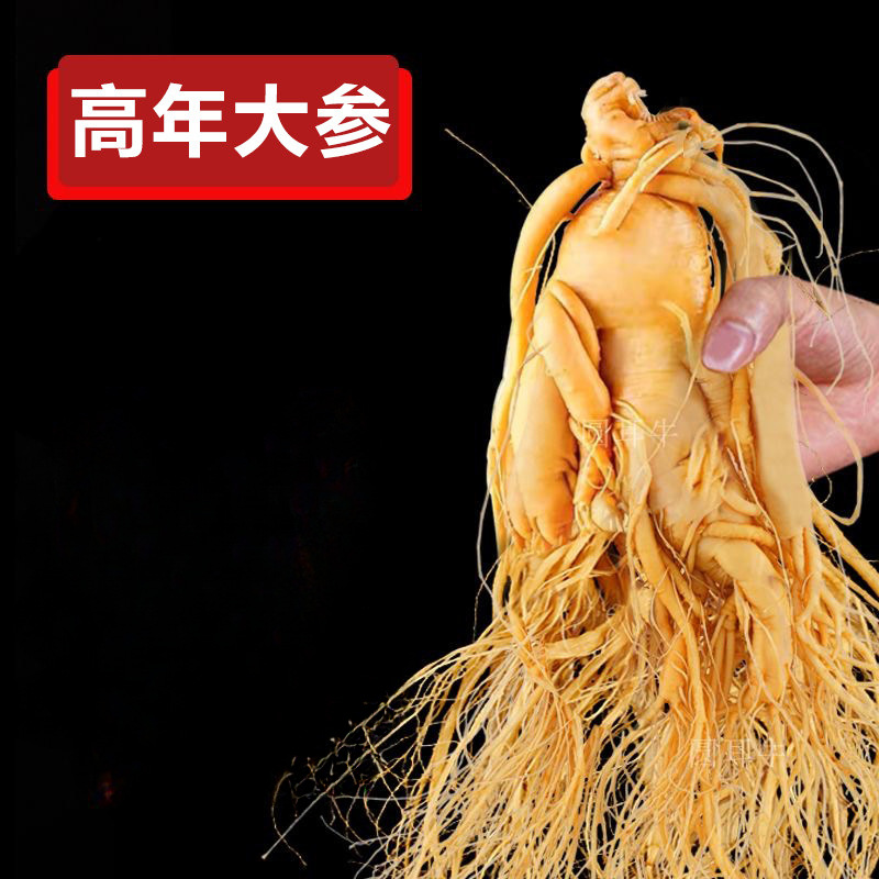 Fresh Changbai Mountain Ginseng Ren Shen Whole Root for Wine Infusion and Soup Making Gift Box - Image 5