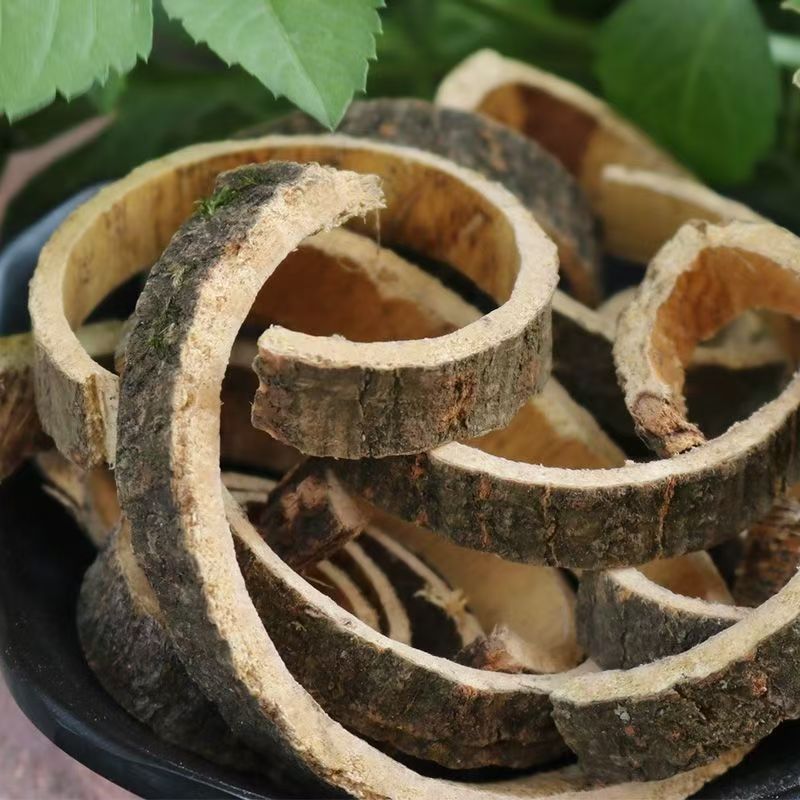 Albizia Bark He Huan Pi 合欢皮 Dried Herb for Tea and Decoction 500g Selected Grade - Image 4
