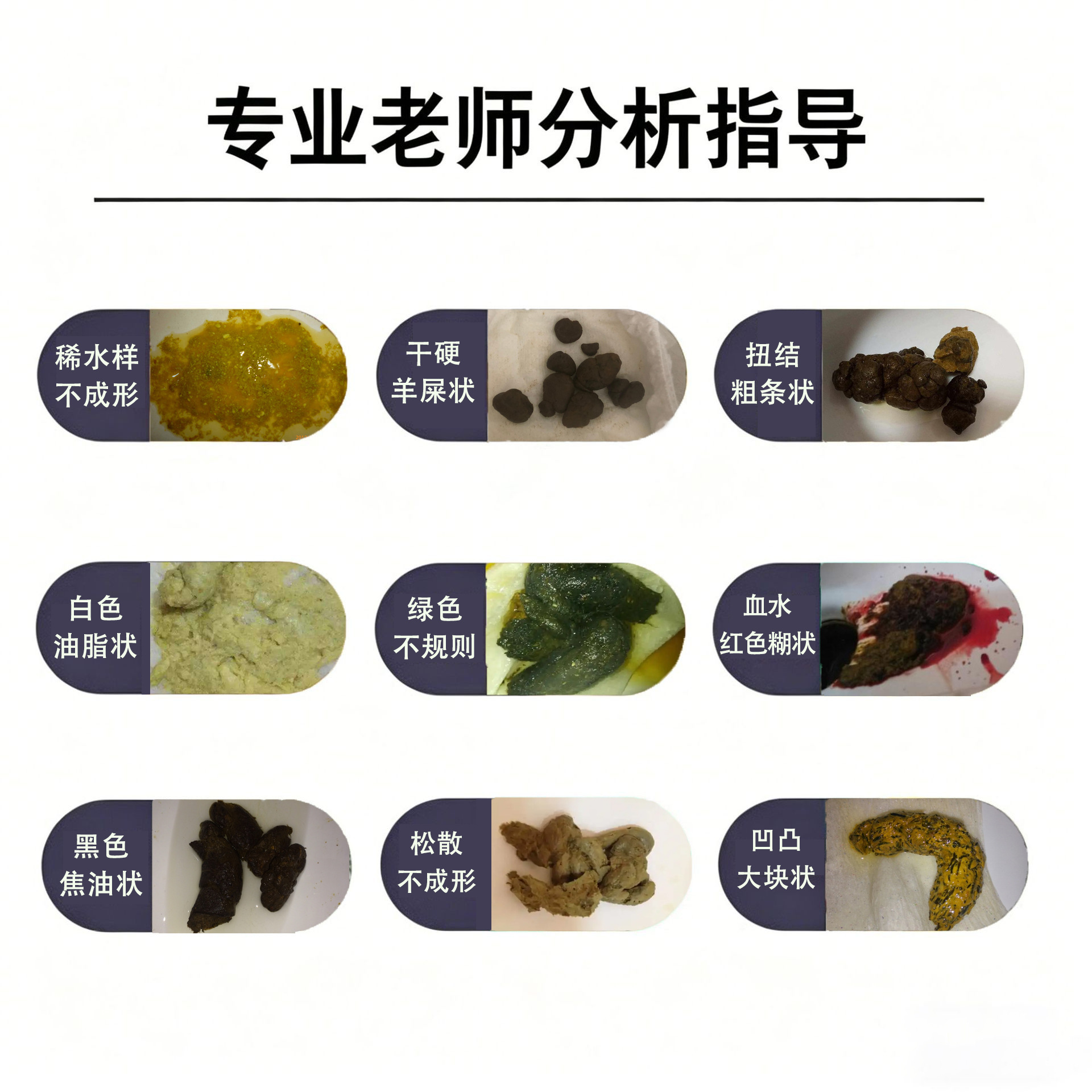 Taiwan Probiotic Grain & Fruit-Vegetable Enzyme Powder (Prebiotic Oligosaccharide Blend) — 6g Trial Sachet - Image 4
