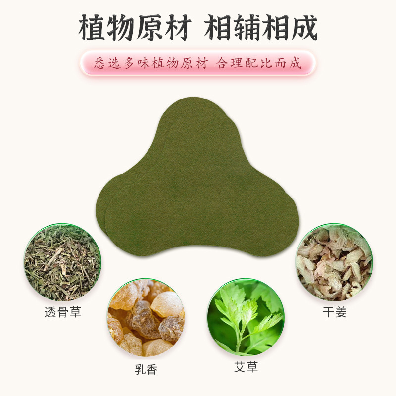 Mugwort Neck Patch Herbal Warming Moxa Patch 12 Patches Per Box - Image 4