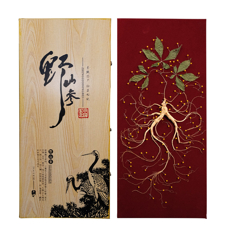 Jilin Changbai Mountain Forest Ginseng Gift Box Dried Ginseng Root for Cooking Elderly Gift - Image 4