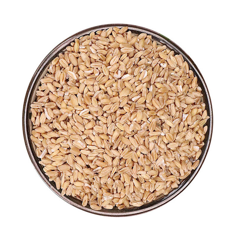 Fu Xiao Mai Dried Floating Wheat Triticum aestivum 500g Traditional Herbal Decoction Ingredient - Image 5