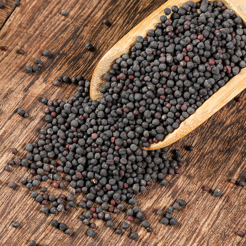 Wang Bu Liu Xing (Vaccaria segetalis) — Dried Cowherb Seeds, Food Herb for Tea & Soup - Image 3